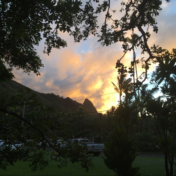 Meet your Posher, Joanna - Picture 1 of 3